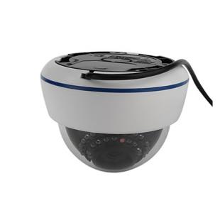 All-in-one All Metal Security Camera with SD Card Slot (TV-Out, 30 IR LEDs)