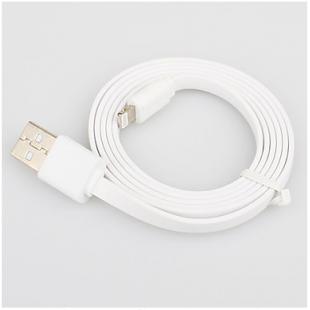 Apple 8 Pin Sync and Charge Cable for iPhone 5, iPad Mini, iPad 4, iPods (Assorted Colors,100cm) 